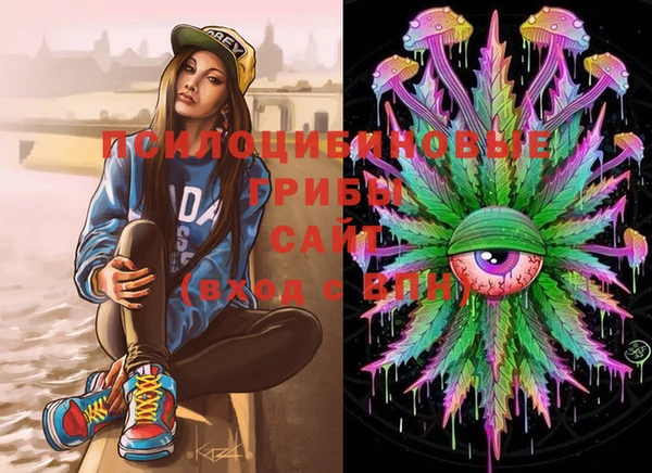 PSILOCYBIN Кукмор
