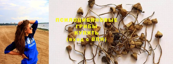 PSILOCYBIN Кукмор