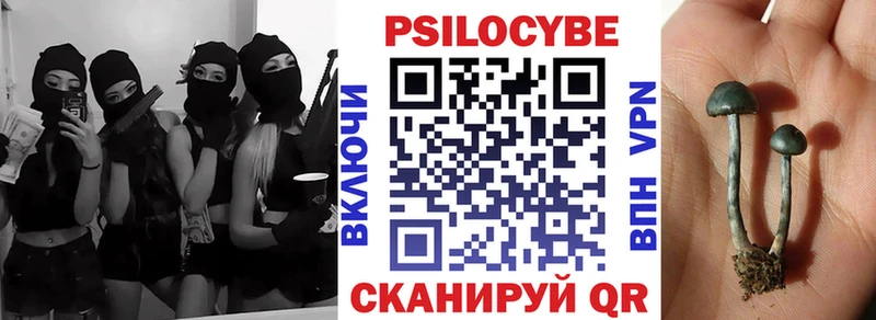 Галлюциногенные грибы Psilocybine cubensis хочу Любим